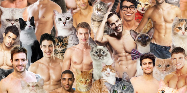 Hot Dudes with kittens