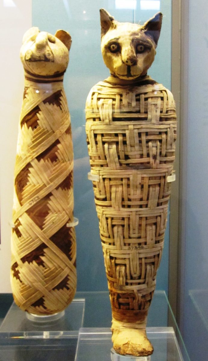 Gatto sarcofago 100 a.C.