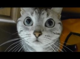 Cosa c’è li sotto?