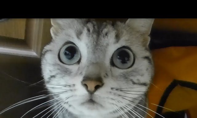 Cosa c’è li sotto?