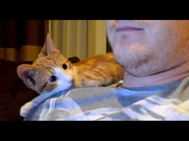 Oscar e Brian