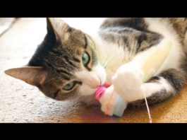 Che bello il mio giochino