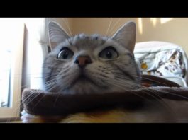 Mi piace stare al caldo