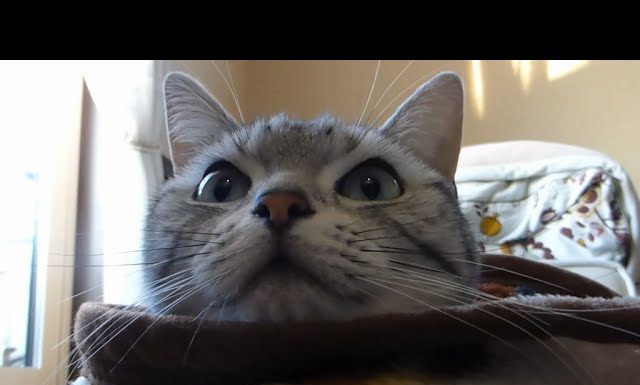 Mi piace stare al caldo