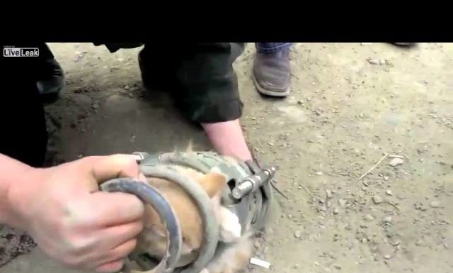 Pompieri russi salvano gattino intrappolato in un camion