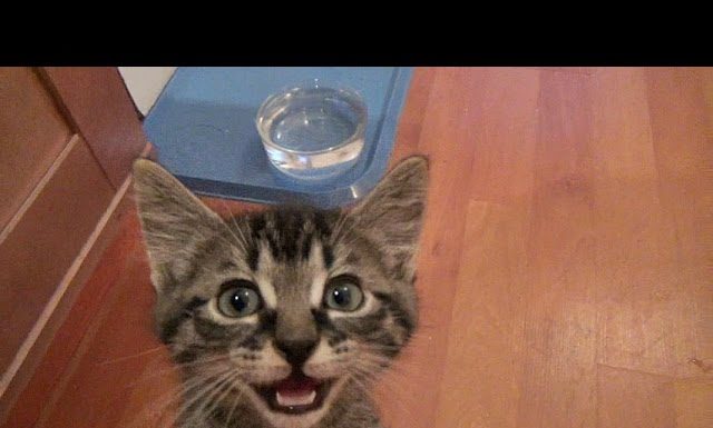 Serata di divertimento per Kami e i suoi piccoli