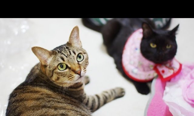 Proviamo a conoscerci?