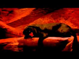 Cat People (Putting Out Fire) – David Bowie