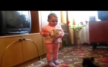 Mamma gatta rivendica il suo cucciolo