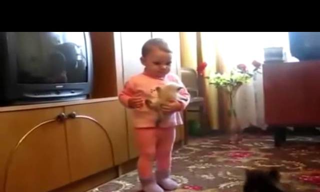 Mamma gatta rivendica il suo cucciolo