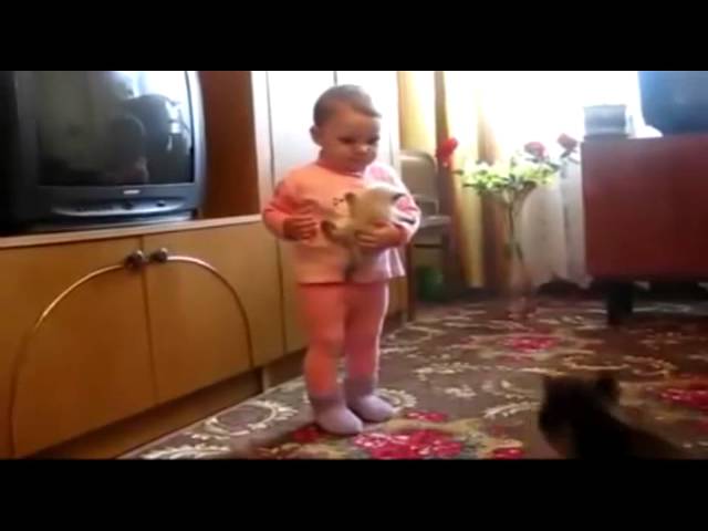 Mamma gatta rivendica il suo cucciolo