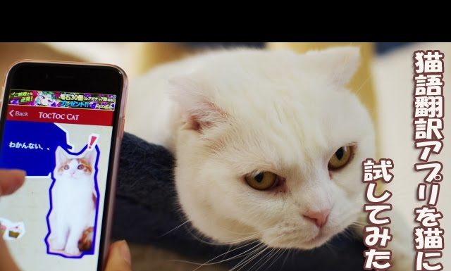 Quello strano aggeggio non mi piace