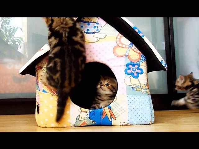 Nuova casa!