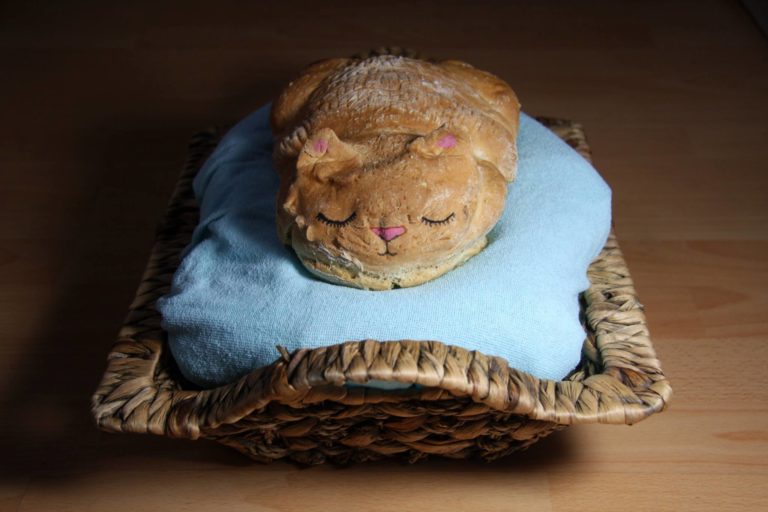 Lou Lou cucina gatti squisiti