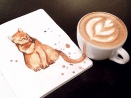 Cappuccino gatto