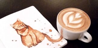 Cappuccino gatto