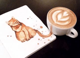 Cappuccino gatto