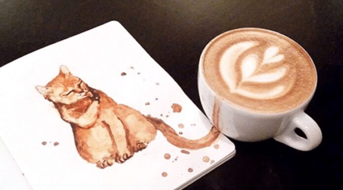 Cappuccino gatto