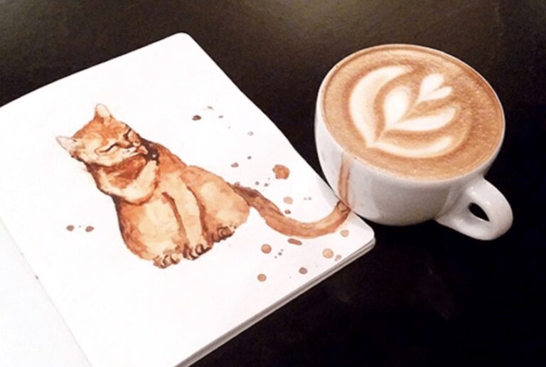 Cappuccino gatto