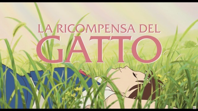 La ricompensa del gatto