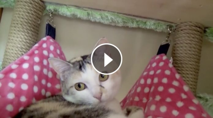 Che bella l'amaca!