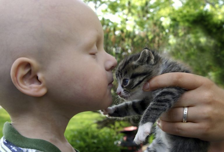 Bimbo e gatto