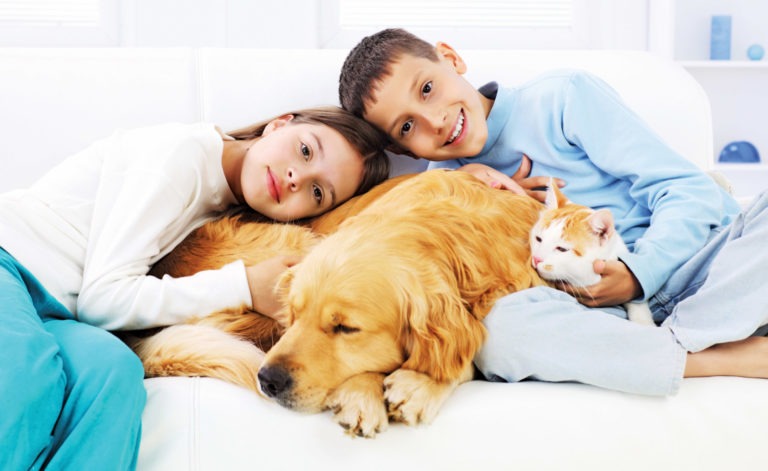 Bambini con cane e gatto