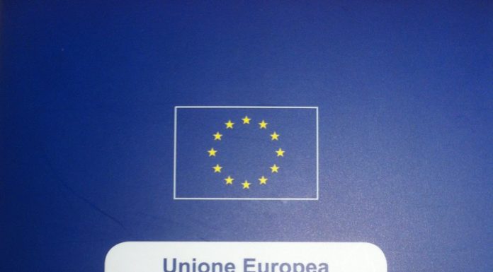 Viaggiare con il gatto: il passaporto