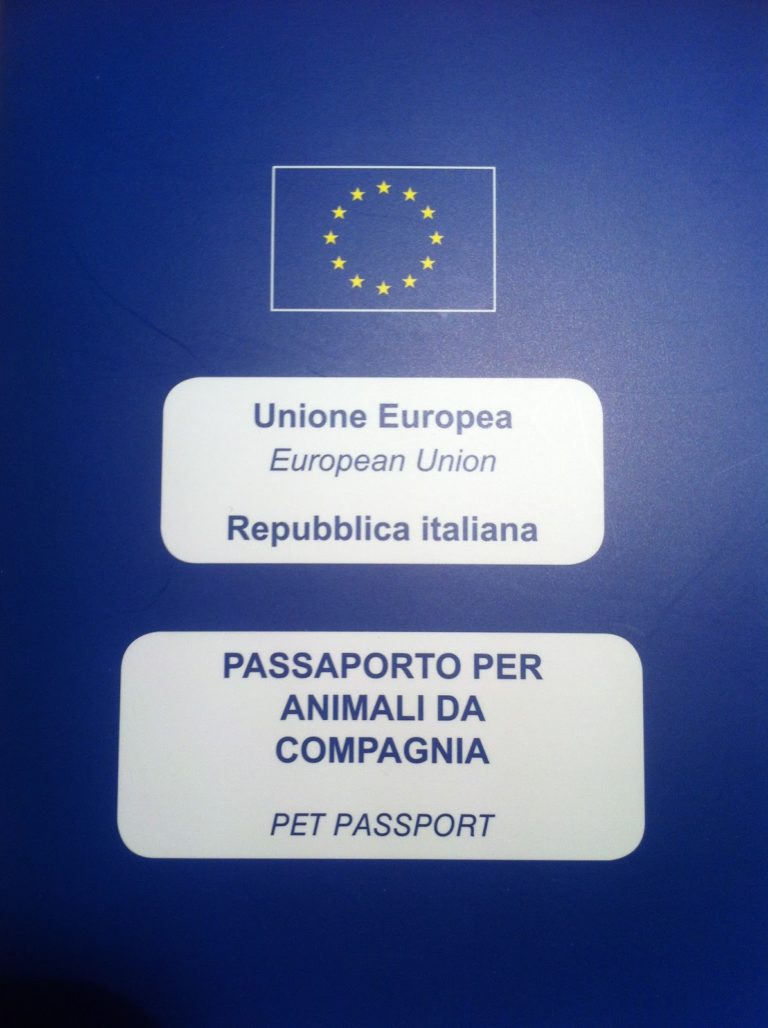 Viaggiare con il gatto: il passaporto