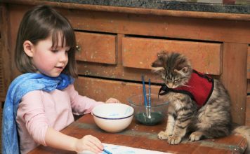 Thula e Iris: una gatta aiuta una bimba autistica Iris Grace e Thula