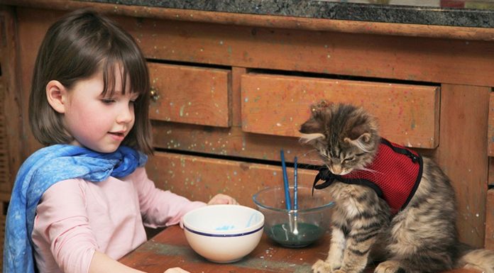 Thula e Iris: una gatta aiuta una bimba autistica Iris Grace e Thula