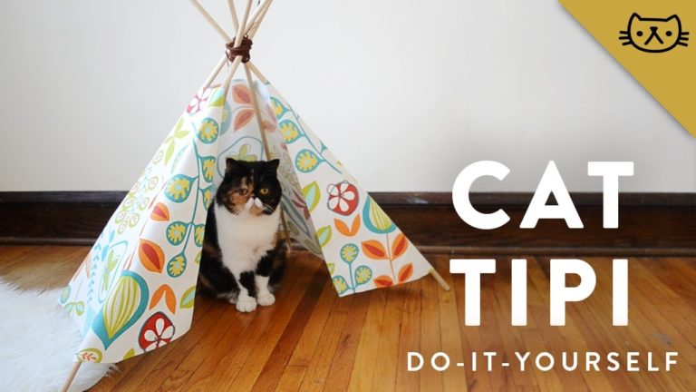 Progetti fai da te: tenda per gatti