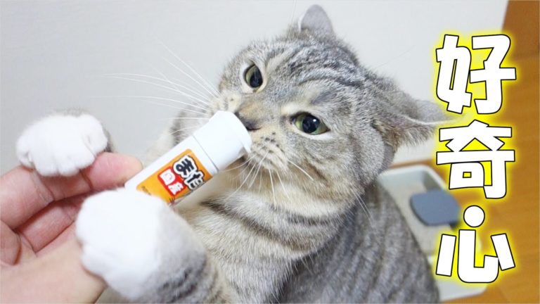 Cos’hai in mano?