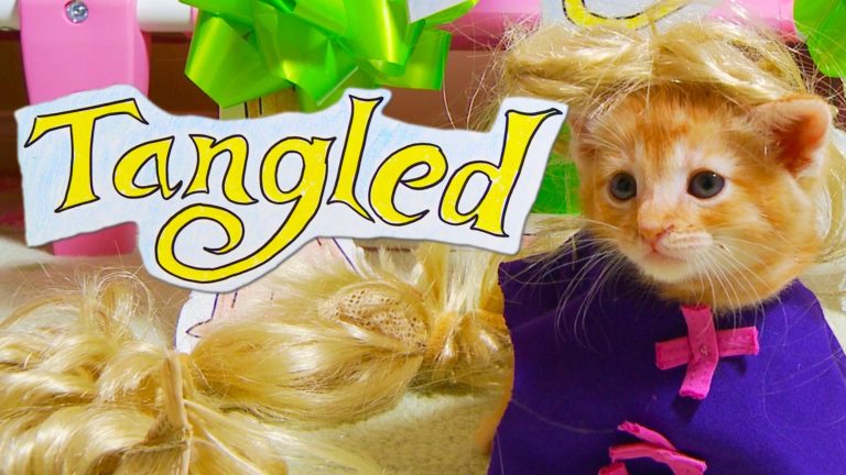 Rapunzel – Cat version
