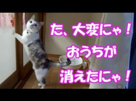 Pulizie di primavera