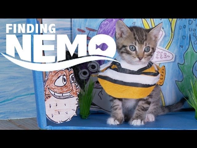 Disney Nemo – parodia gattosa