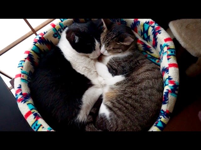 Dolce riposo