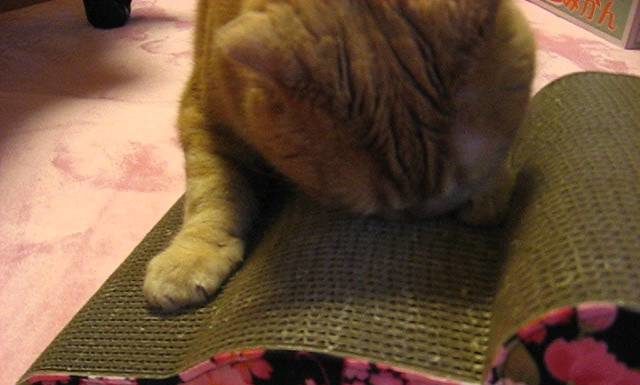 L’ora della manicure