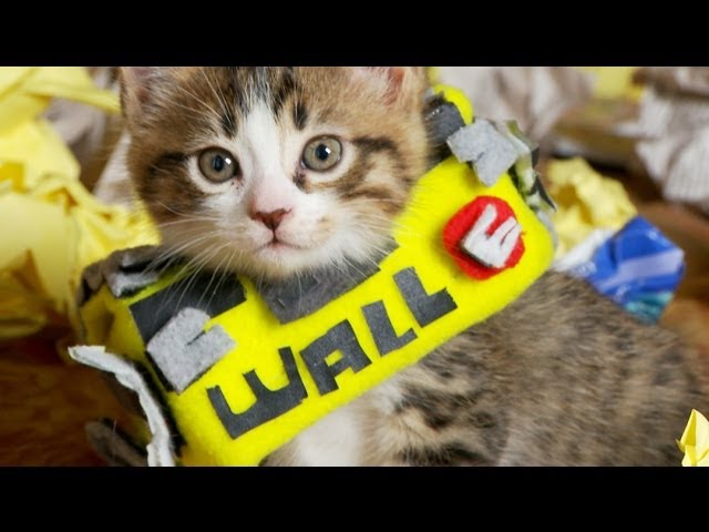 Wall-e
