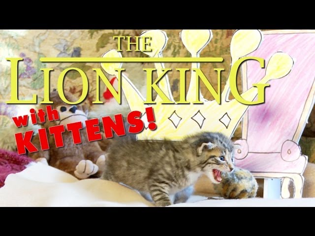 Il Re Leone: la parodia gattosa