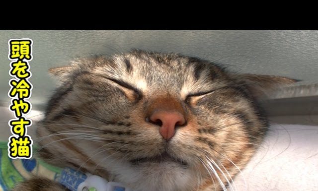 Meglio tenere la testa al fresco