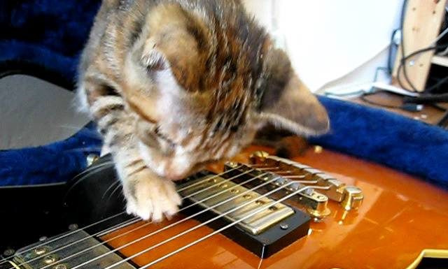 Giochiamo con la chitarra