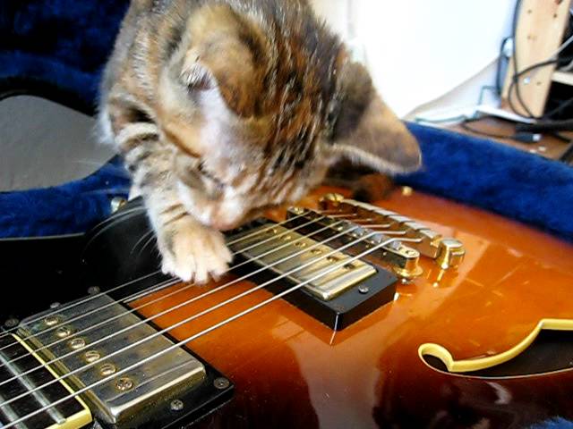 Giochiamo con la chitarra