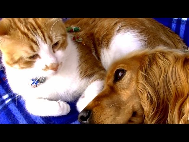 Una storia d’amore