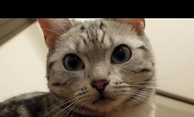 Nonna, veglio io su di te