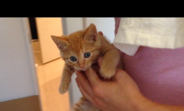 Un bagnetto è quello che ci vuole