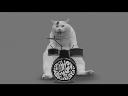 Systematic, gatti psichedelici per i Midnight Juggernauts