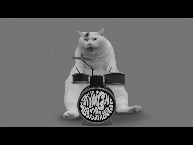 Systematic, gatti psichedelici per i Midnight Juggernauts