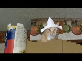 Monty Python e il Santo Graal