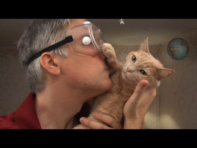 An Engineer’s Guide to Cats 2.0 – The Sequel